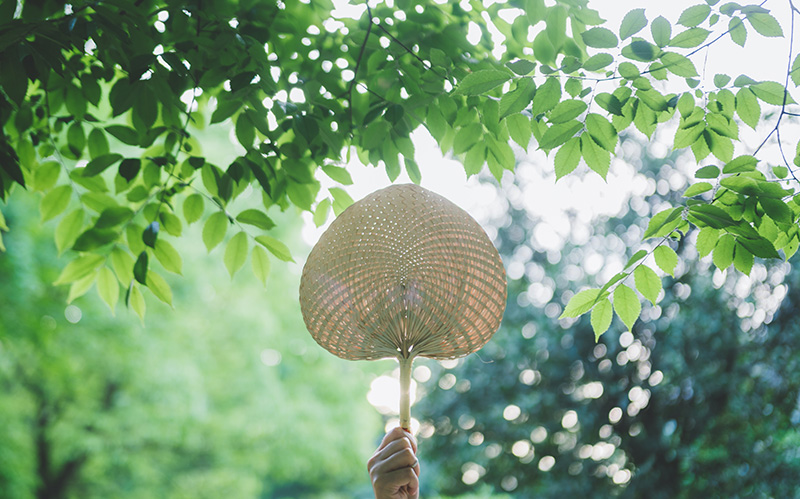 行业引领